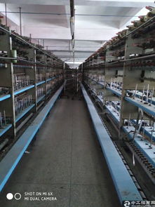 大朗原房東紡紗廠10000平方廠房帶設備出租 紡織產(chǎn)業(yè)升級新機遇